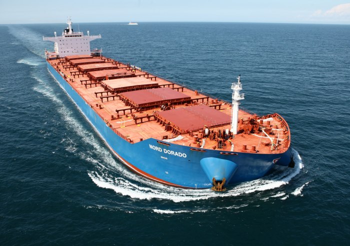 Bulk Carrier судно