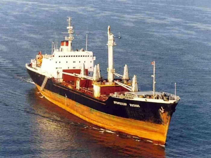 Морское судно балкер