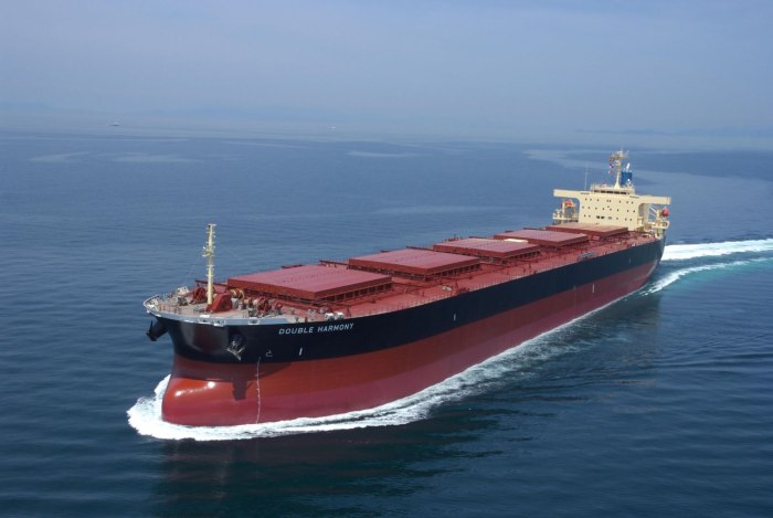 Bulk Carrier судно