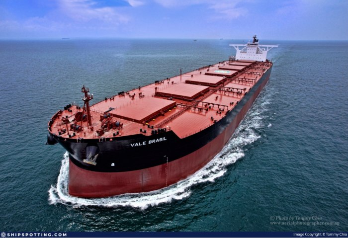 Bulk Carrier ( Capesize)