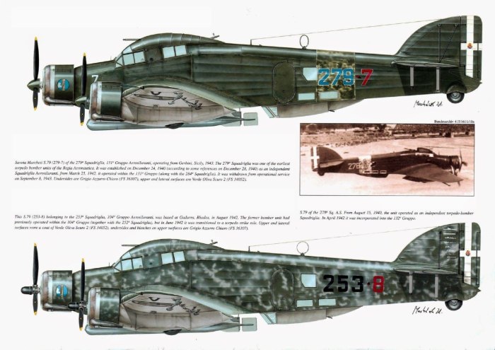Бомбардировщик Савойя-Маркетти SM.79