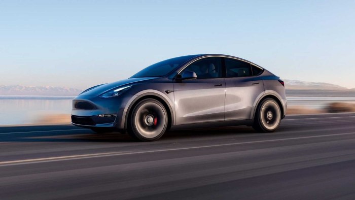 Тесла model y