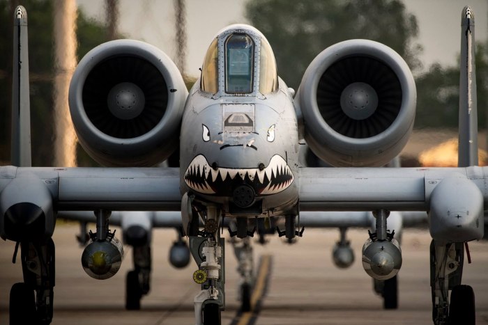 A10 Thunderbolt 2