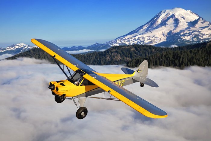 Биплан Piper Cub