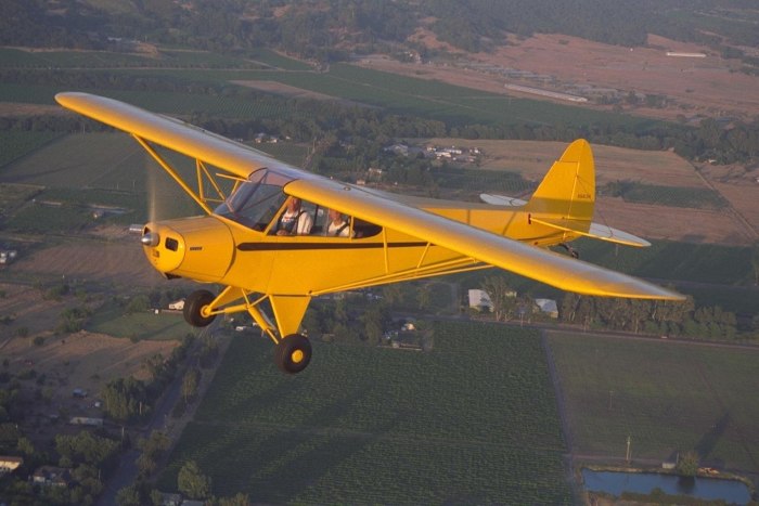 Starr Bumblebee 2 самолёт