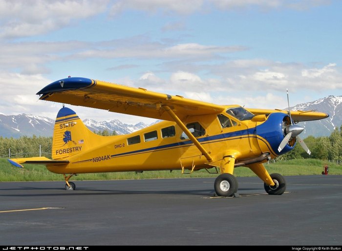 DHC-6 самолет