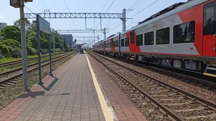 Станция Адлер Ласточка
