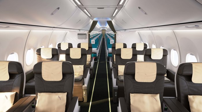Боинг 737 Макс салон