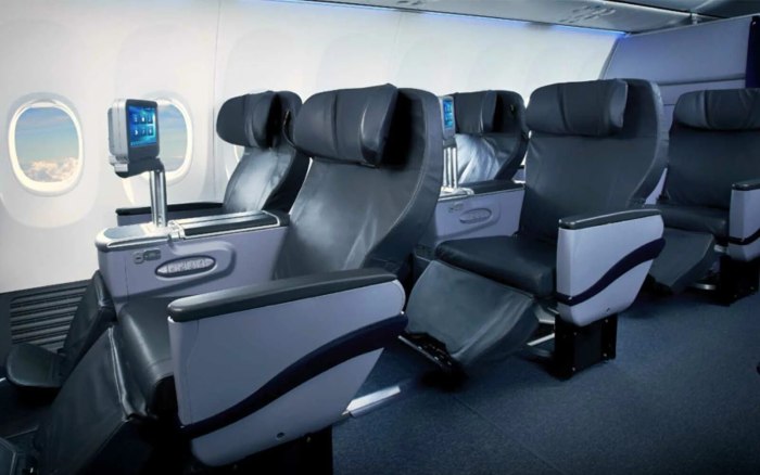 Boeing 737 бизнес класс