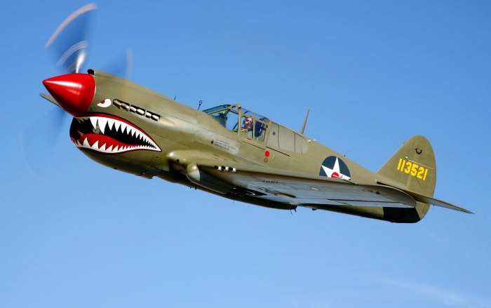 Curtiss p-40e Kittyhawk самолет