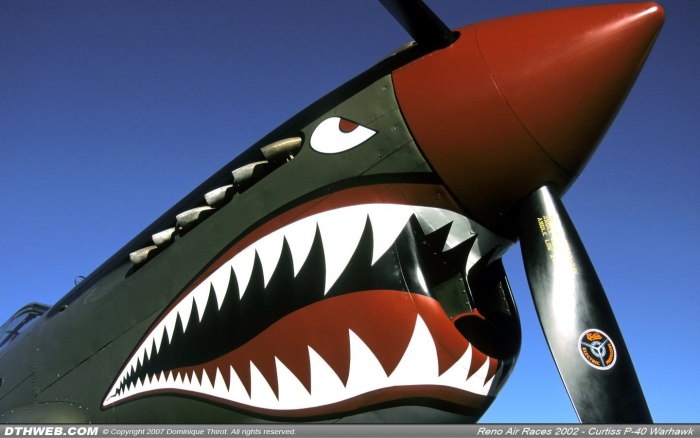 Aircraft Shark Trevor Henderson