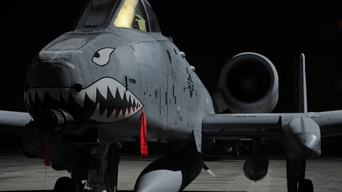 A-10 Thunderbolt Shark