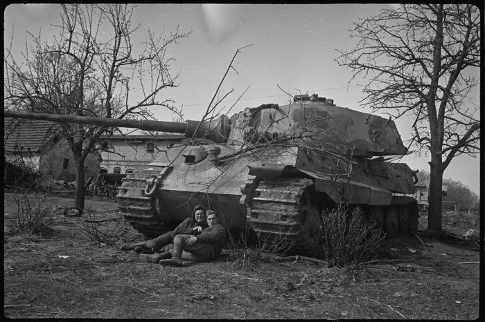 Королевские тигры в Берлине 1945