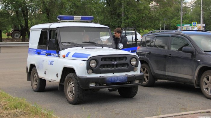 УАЗ 31514 полицейский