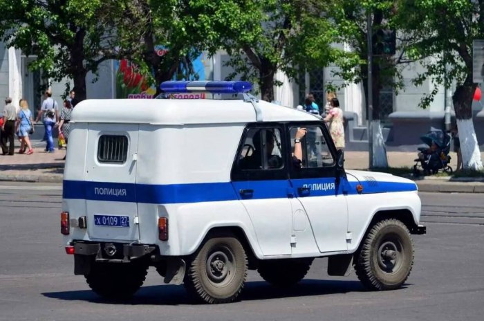 УАЗ 3151 полиция