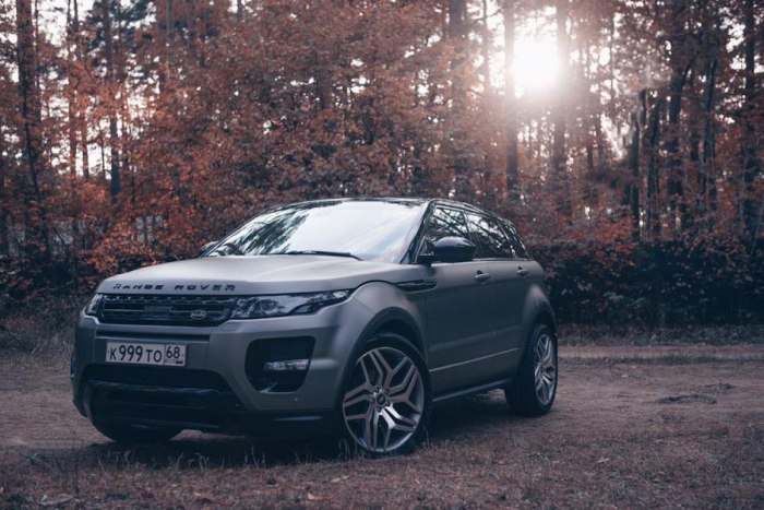 Range Rover Evoque серый