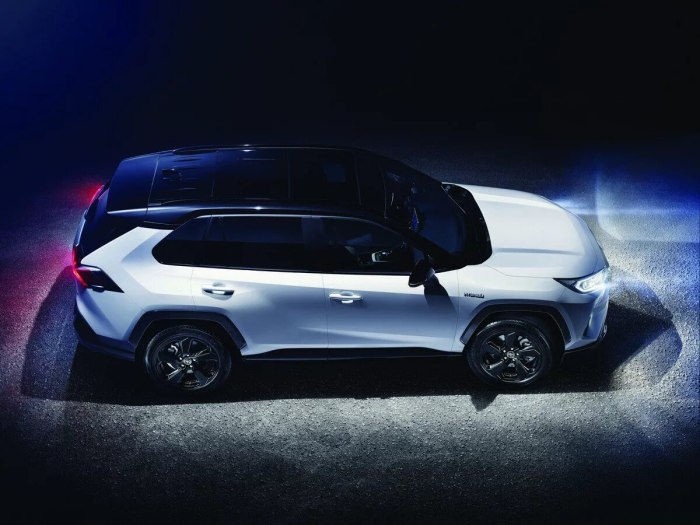 Toyota rav4 Hybrid
