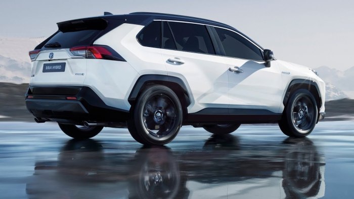 Toyota rav4 2019
