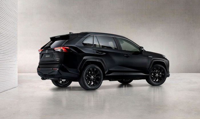 Toyota rav4 2020 Black Edition
