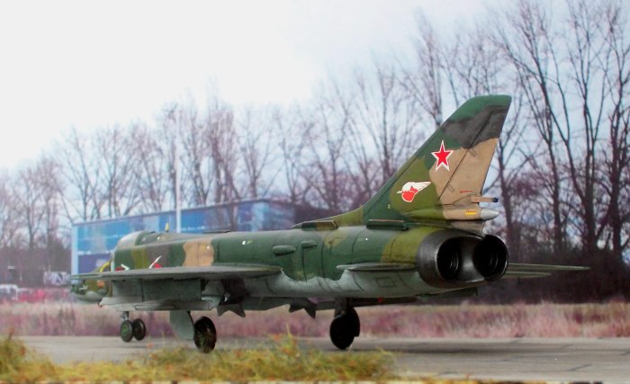 Су-25 Штурмовик
