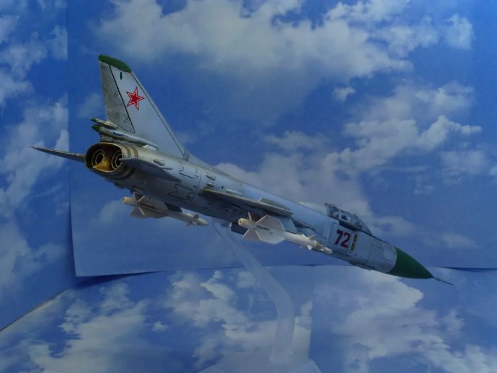Су 21