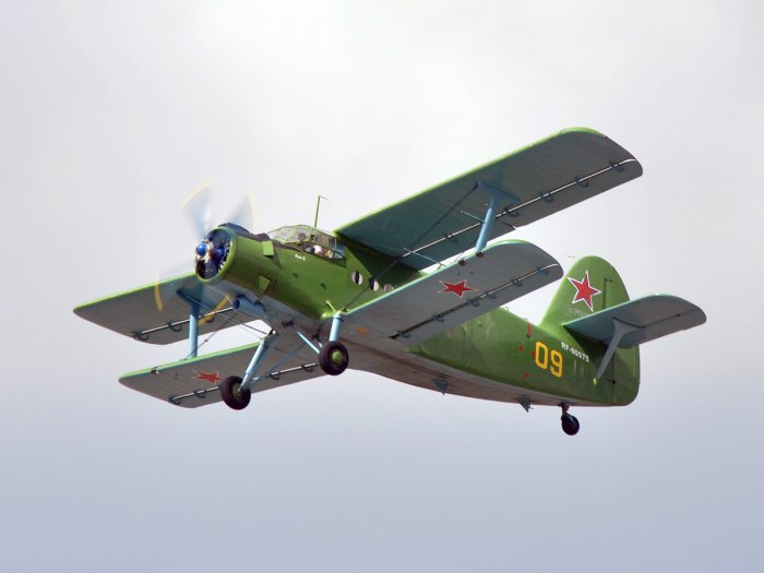 АН-2 винт