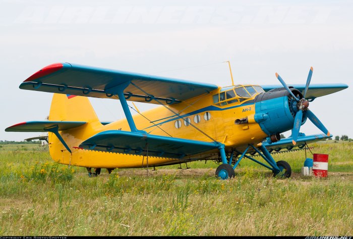 Самолёт АН это кукурузник?