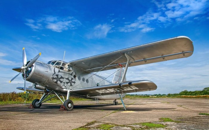Кукурузник ан2 серый