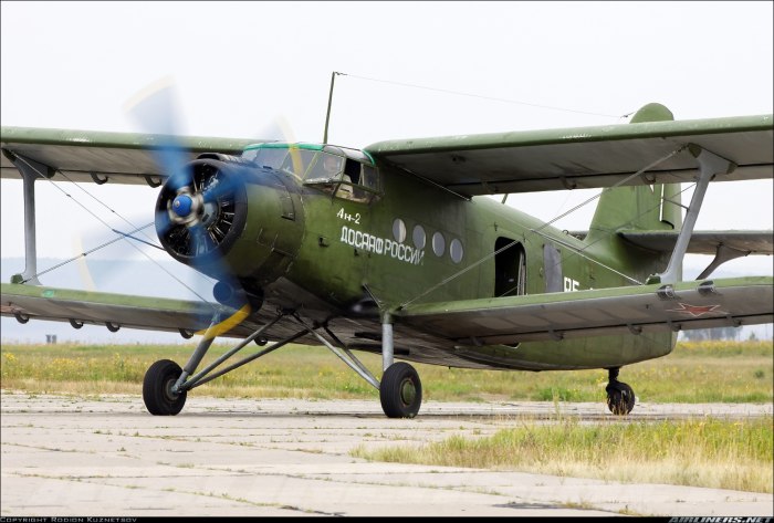 АН 2 кукурузник военный