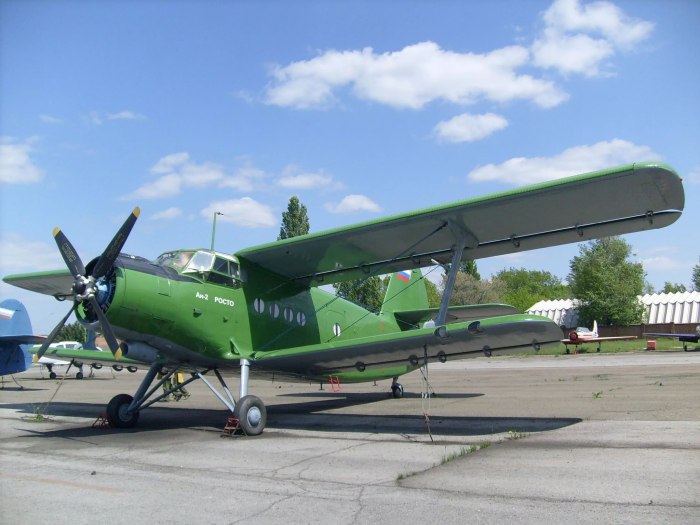 Володя АН 2 кукурузник