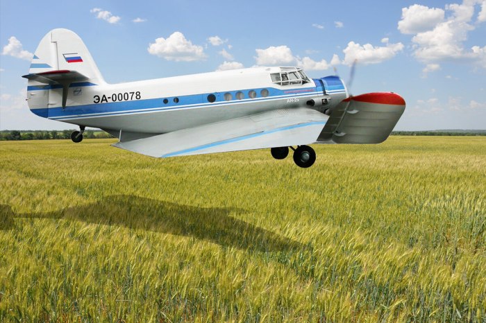 АН 2 грузовой