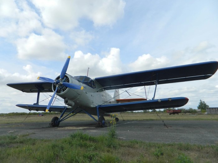 Володя АН 2 кукурузник