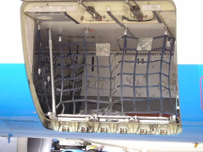 Боинг 737 багажный отсек