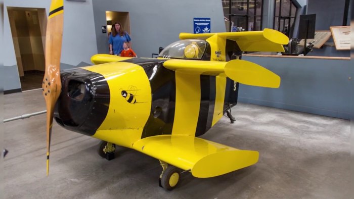 Starr Bumble Bee самолет