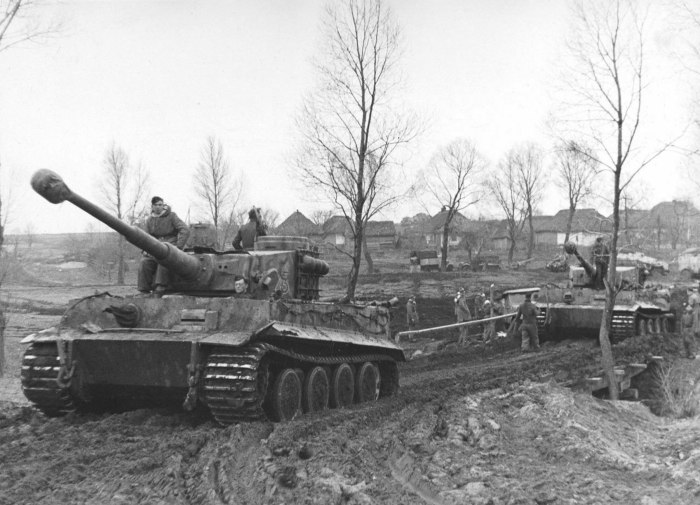 Тигр Лейбштандарт 1943