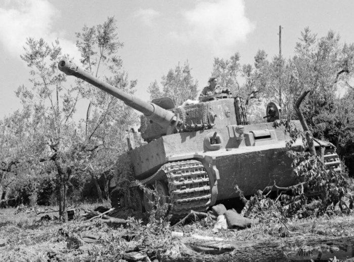 Танк тигр 1944