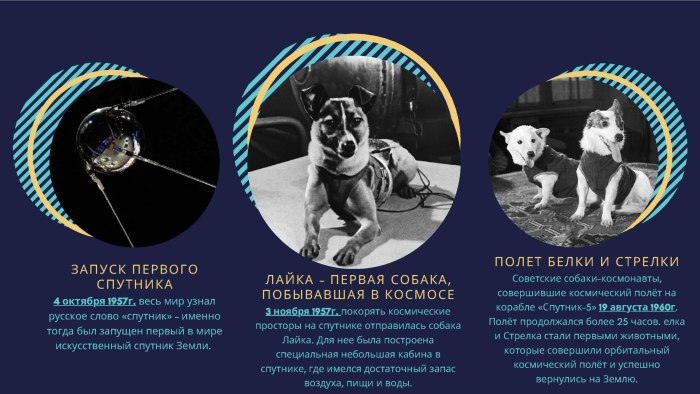 Белка и стрелка полет в космос