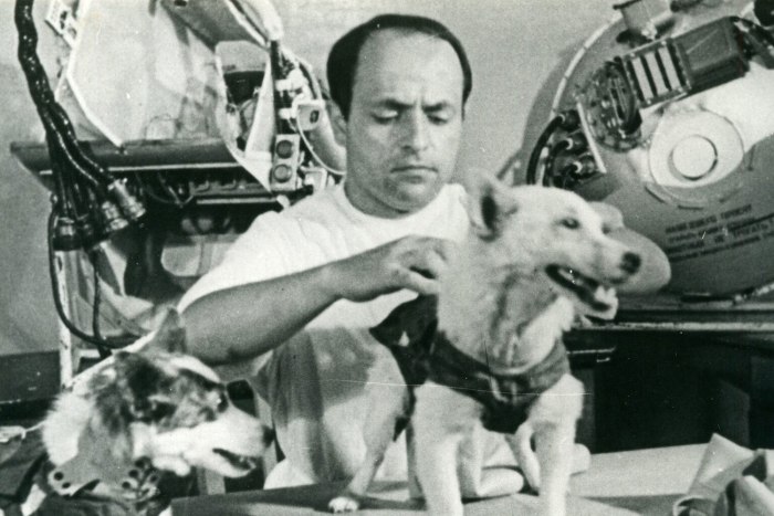 Белка и стрелка полёт в космос 1958