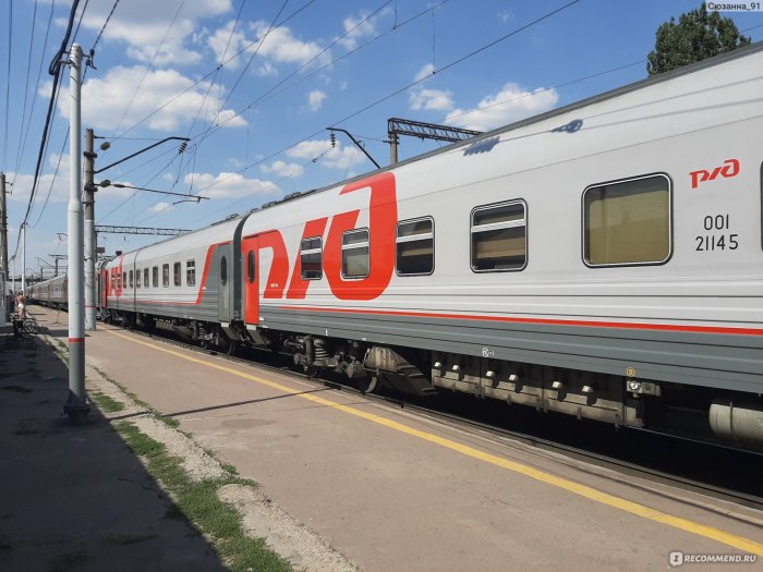 227а Санкт-Петербург Новороссийск купе