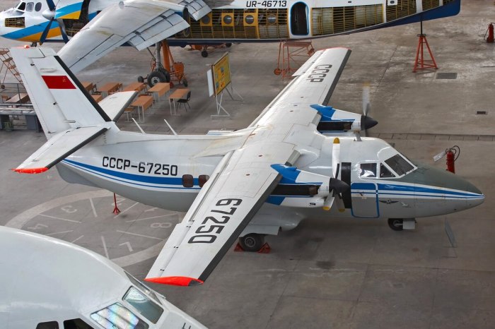 Let l-410 самолет