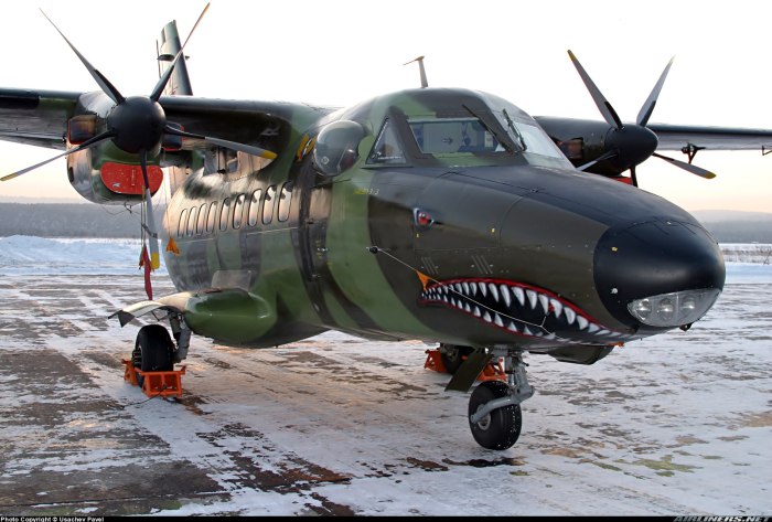 Самолёт л-410 УВП-е20