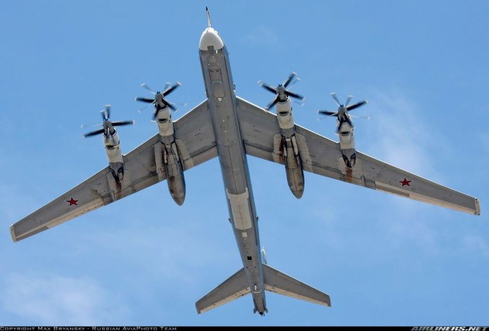 Ту-95мс крыло