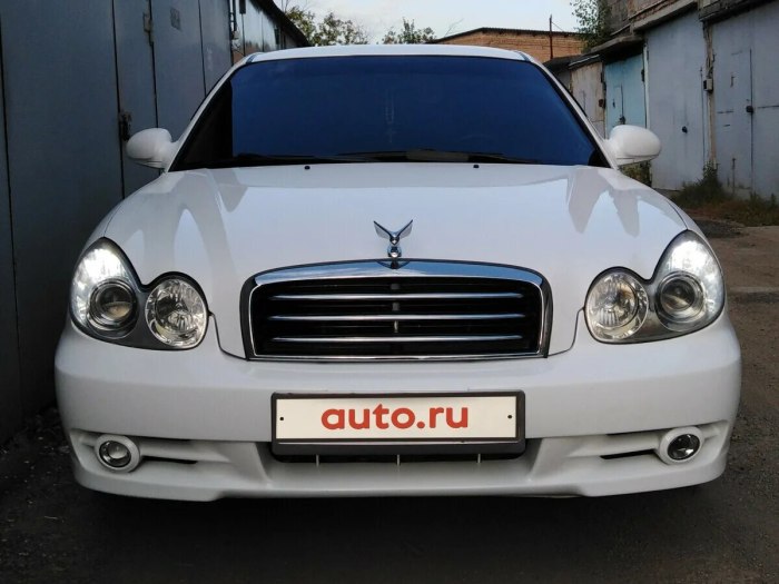 Hyundai Sonata EF 2006 обвес