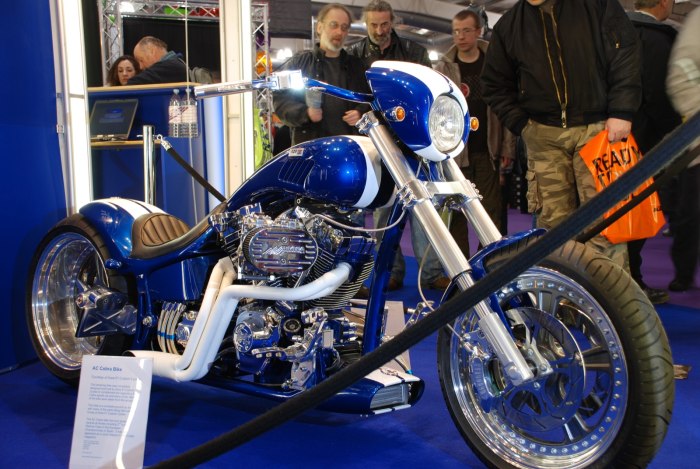 Cobras Bike