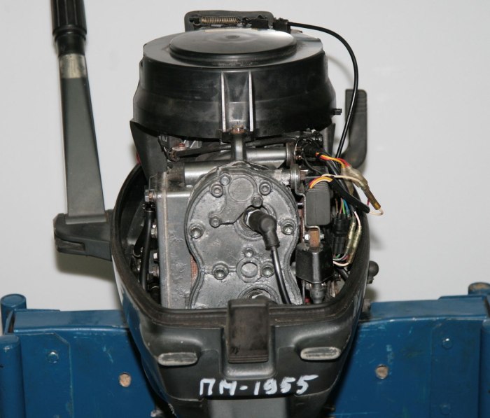 Suzuki dt30