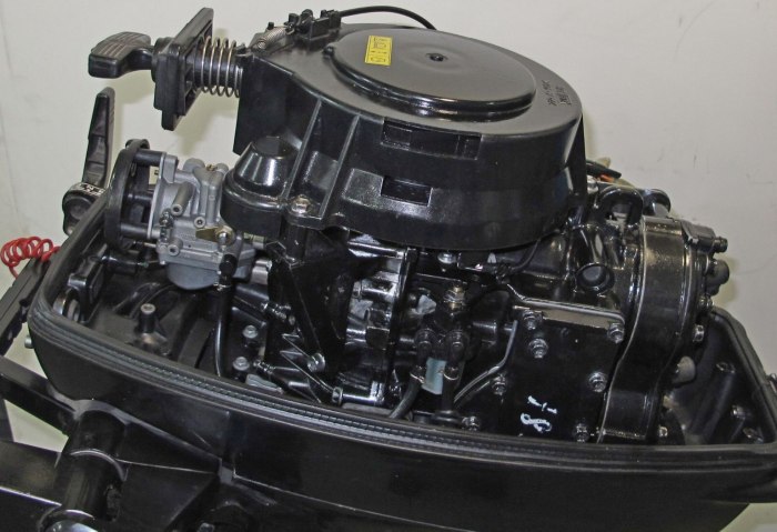 Мотор Suzuki dt30rs