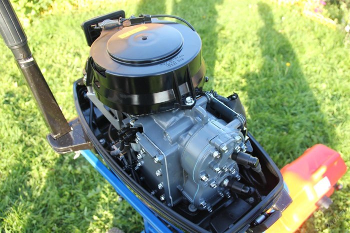 Suzuki dt30
