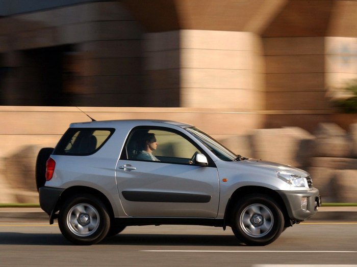 Toyota rav4 3 Doors 2000