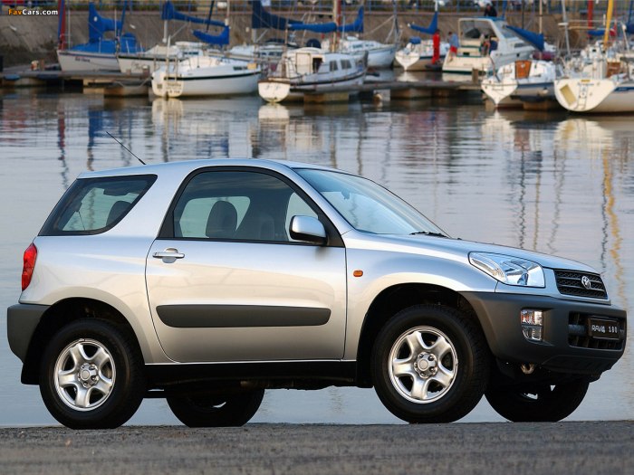 Toyota RAV 3 дверный