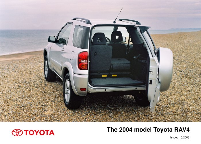 Toyota rav4 2004 3 двери